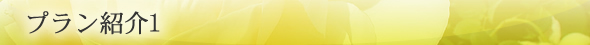 プラン紹介1